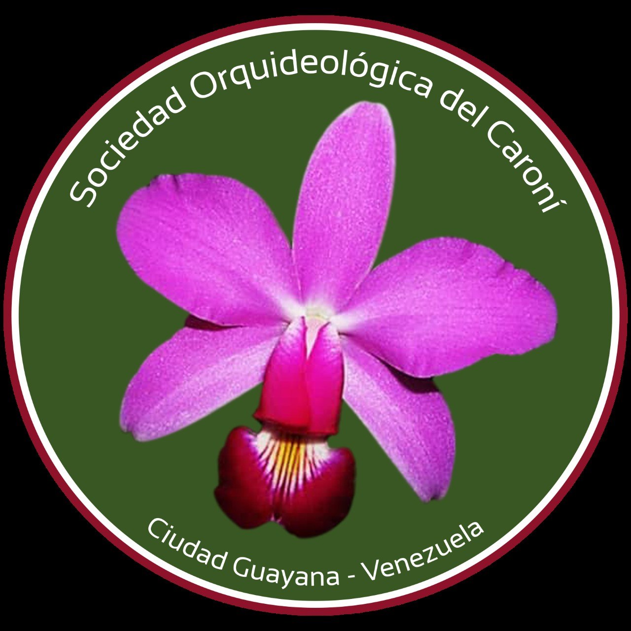 Sociedad Orquideológica del Caroní