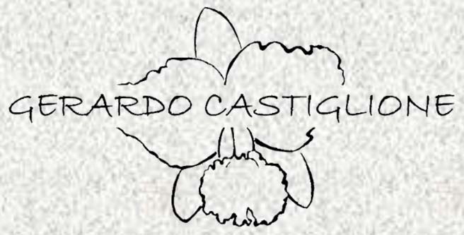 Gerardo Castiglione